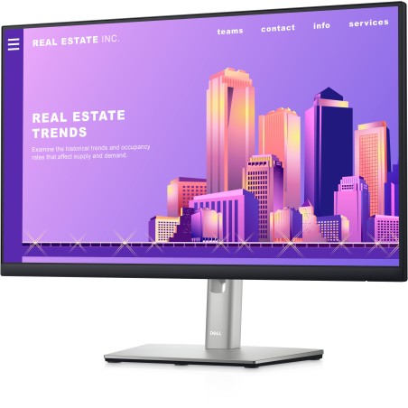 Monitor Dell P2422H  VGA Dport Usb  Regulable, Girable y Pivotable